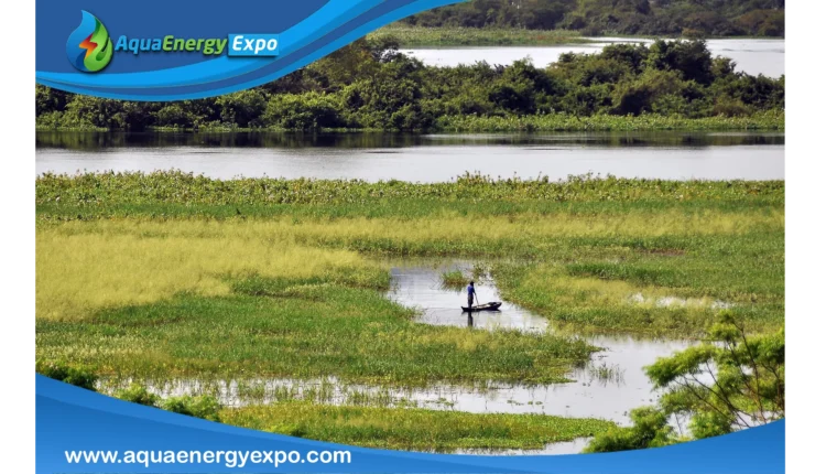 The 10 Largest Wetlands in the World: A Look at the Earth's Greatest Aquatic Ecosystems