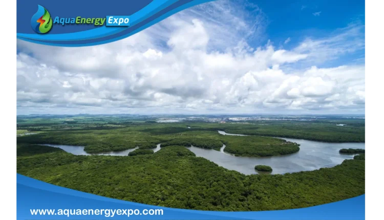 How Long is the Amazon River?