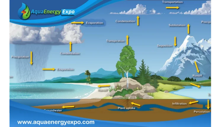 Evaporation in the Water Cycle: Mechanisms, Influencing Factors, and Climatic Role