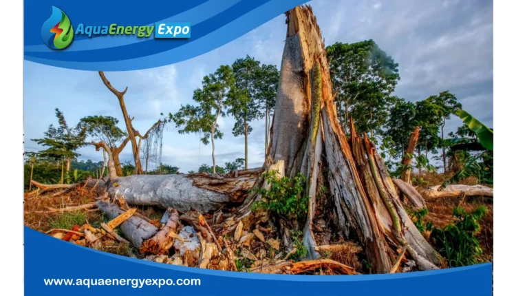 Environment Issues in Africa: A Call to Action