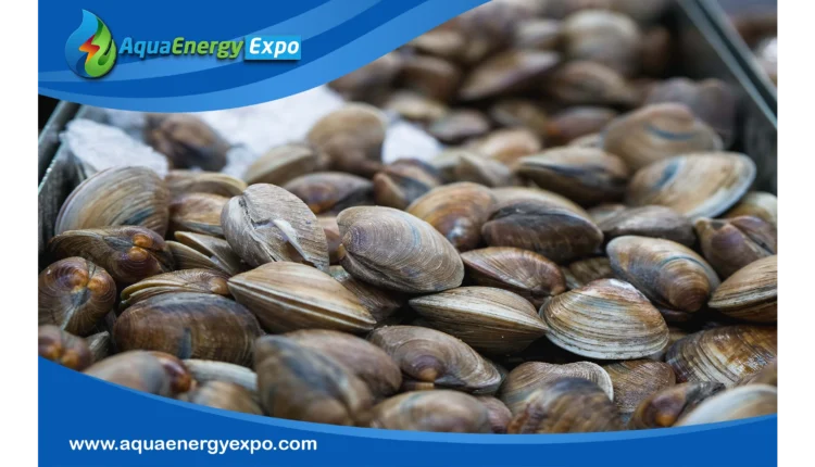 Clam Water Sensor: Nature's Guardians of Water Quality