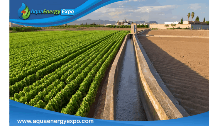The Vital Role of Irrigation Ditches in Agriculture and Community