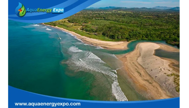 Understanding the River Mouth