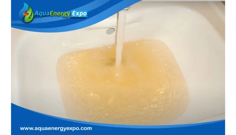 Tannins in Water: How to Identify, Remove, and Prevent Tannic Water Stains