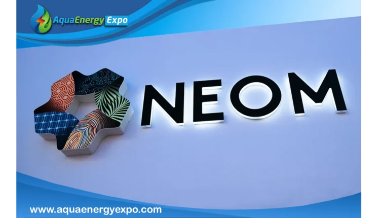 NEOM Costs