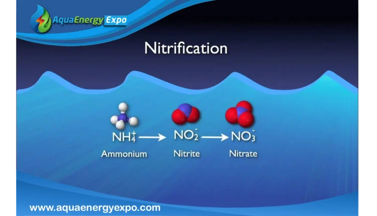 Revolutionary Techniques for Efficient Nitrogen Removal in Water