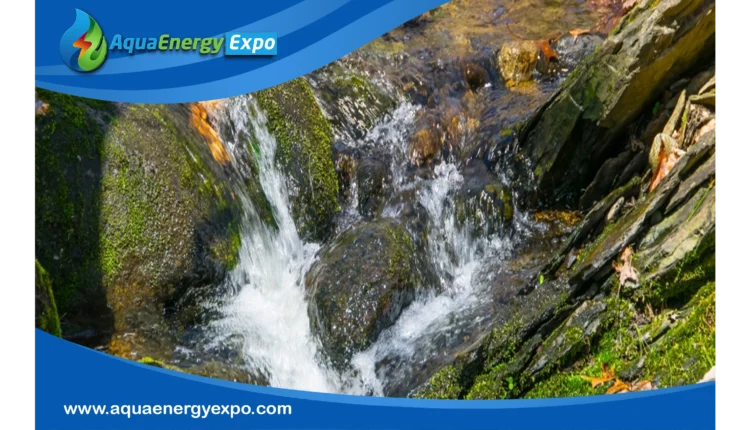 The Importance and Mechanisms of Natural Water Filtration systems