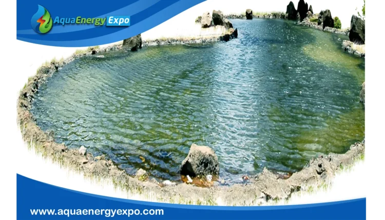 Is Pond Water Safe to Drink? Risks and Purification Methods