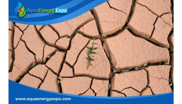 OECD: By 2035, drought expenses will increase by 35%