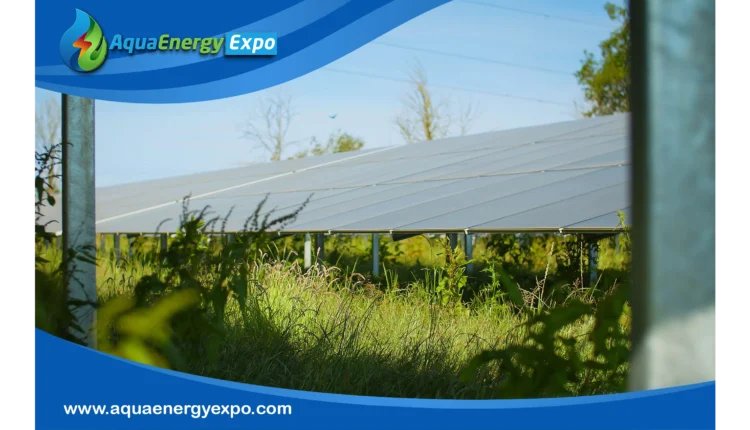 LONGi Powers UK's First Back Contact Solar Project in Landmark Cero Generation Partnership