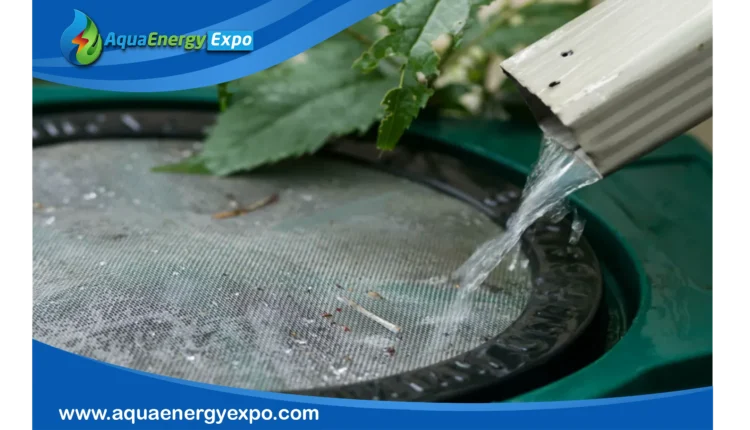 Exploring Rainwater Nitrogen: Essential Benefits and Environmental Impacts