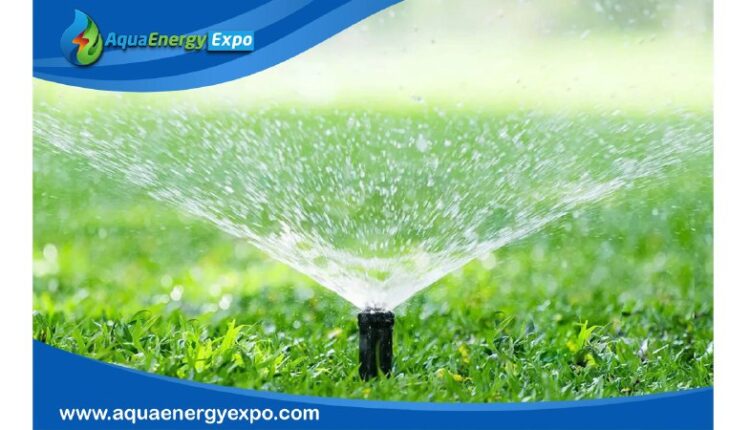 watering after aeration