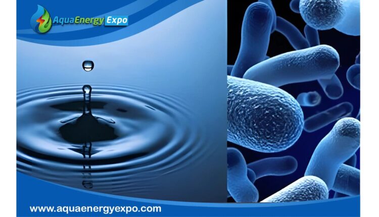 how to test for legionella in water