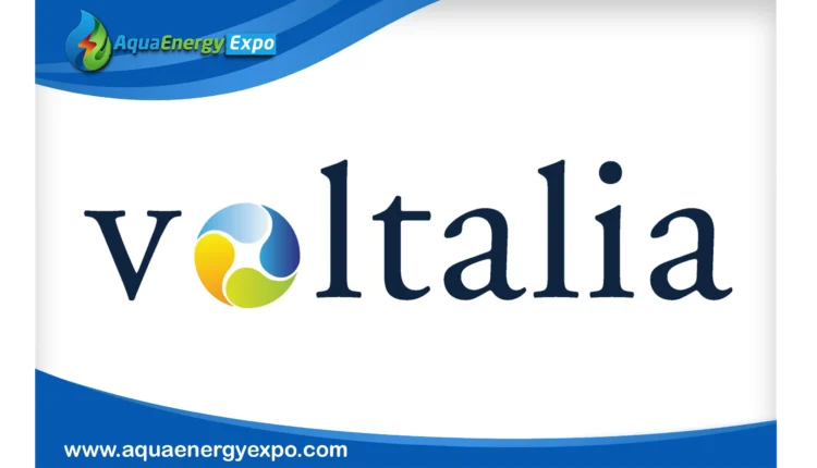 Voltalia begins commissioning of French Guiana biomass plant