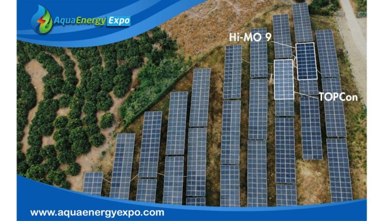 LONGi Releases Global BC Technology Field Data: Performance and Reliability Exceed Expectations