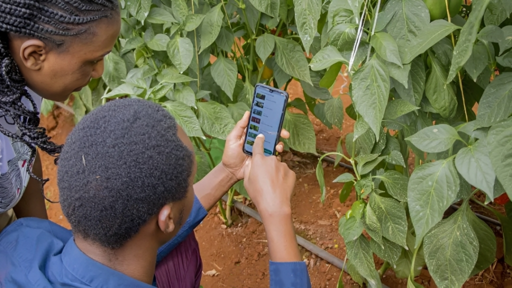 Satellite IoT: Revolutionizing the Monitoring and Management of Remote Water Systems