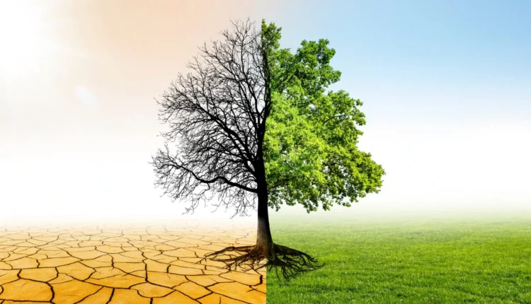 From Drought to Floods: How Can Investing in Water Save Communities?